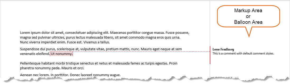 Markup Area or Balloon Area shown in left or right margin depending on your settings