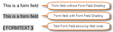 Example of Form Field without and with Form Field shading and example of Form Field showing field code