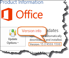 Word 2013 version details