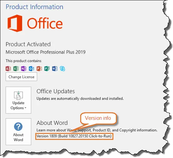 What version of Word do I have? Word 2019 version details